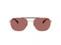Coach Cae80 Lunettes de Soleil HC 7178 90050H