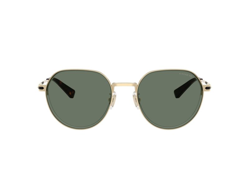 Coach Cae81 Lunettes de Soleil HC 7179 90053H