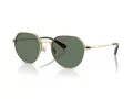 Coach Cae81 Lunettes de Soleil HC 7179 90053H