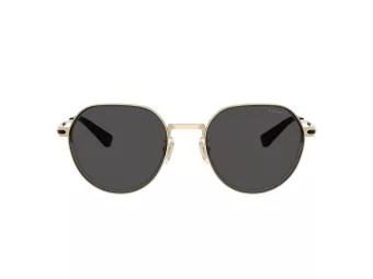 Coach Cae81 Lunettes de Soleil HC 7179 900587