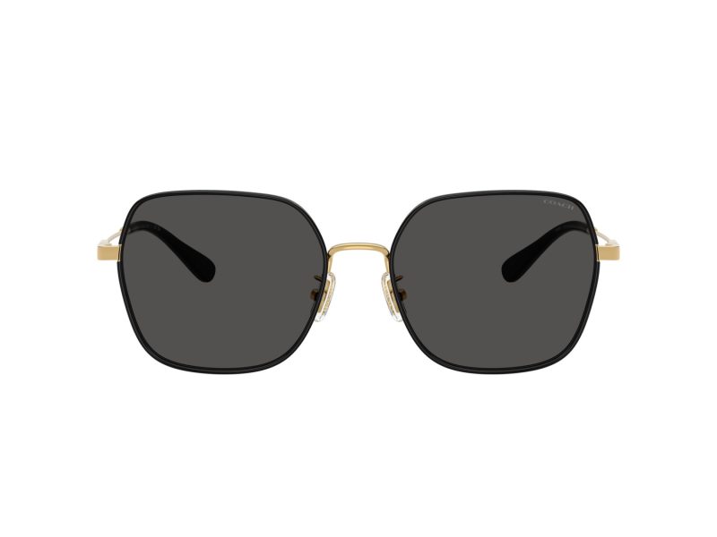 Coach Cae93 Lunettes de Soleil HC 7180D 946687