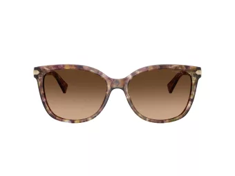 Coach L109 Lunettes de Soleil HC 8132 528713