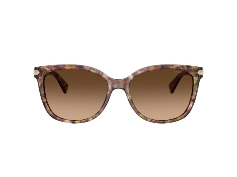 Coach L109 Lunettes de Soleil HC 8132 528713