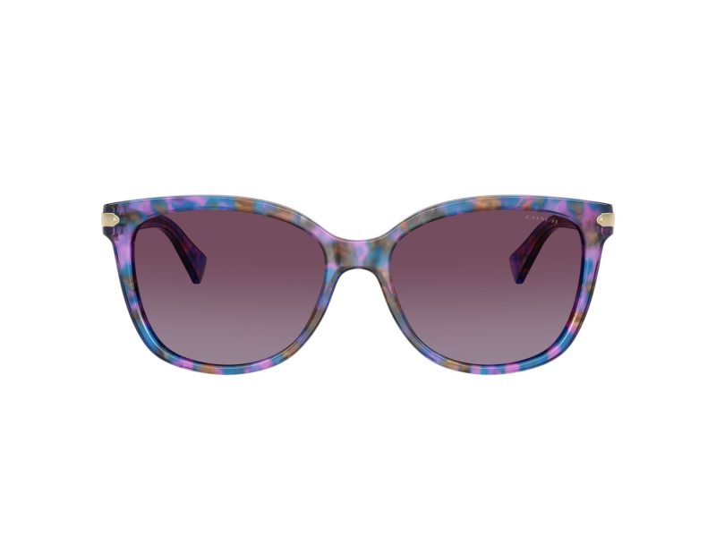 Coach L109 Lunettes de Soleil HC 8132 52888H