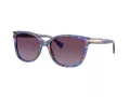 Coach L109 Lunettes de Soleil HC 8132 52888H