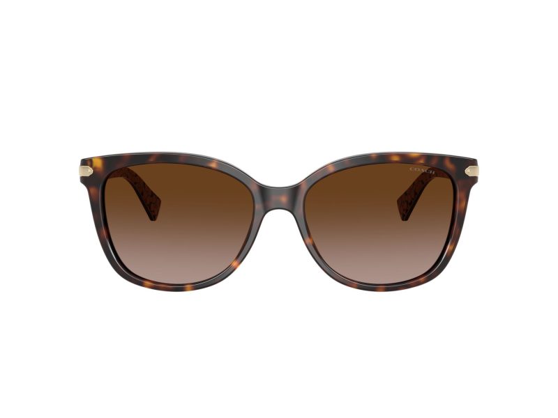 Coach L109 Lunettes de Soleil HC 8132 529113