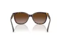 Coach L109 Lunettes de Soleil HC 8132 529113