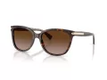 Coach L109 Lunettes de Soleil HC 8132 529113