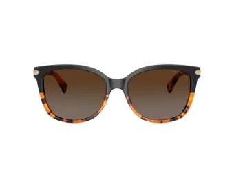 Coach L109 Lunettes de Soleil HC 8132 5438T5