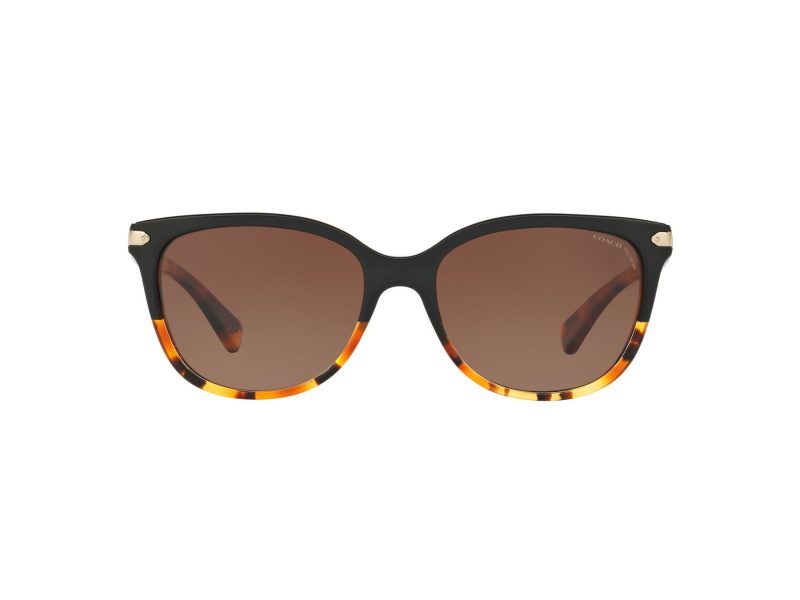 Coach L109 Lunettes de Soleil HC 8132 5438T5