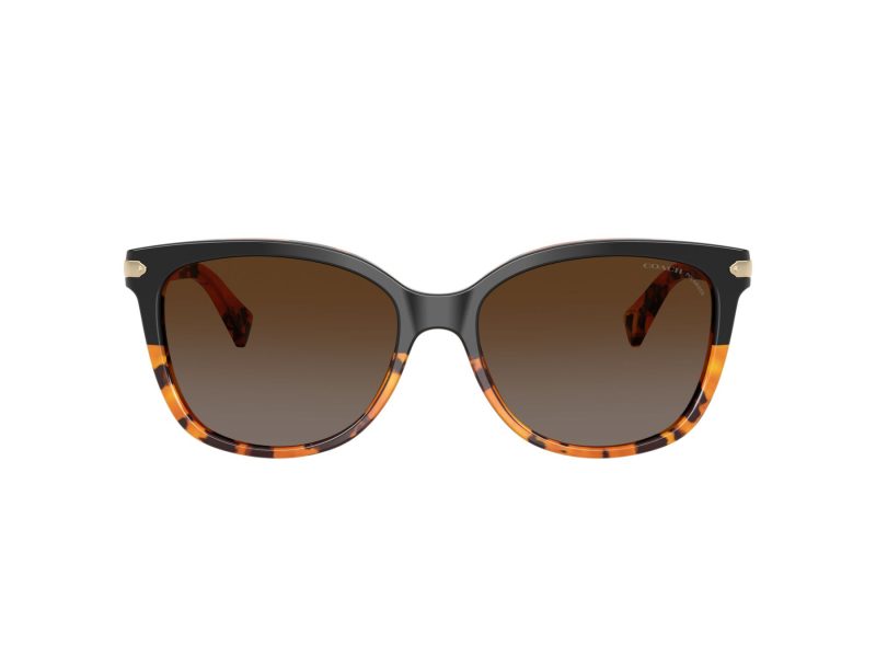 Coach L109 Lunettes de Soleil HC 8132 5438T5