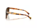 Coach L109 Lunettes de Soleil HC 8132 5438T5