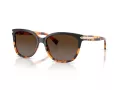 Coach L109 Lunettes de Soleil HC 8132 5438T5