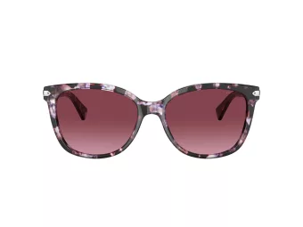 Coach L109 Lunettes de Soleil HC 8132 55488H