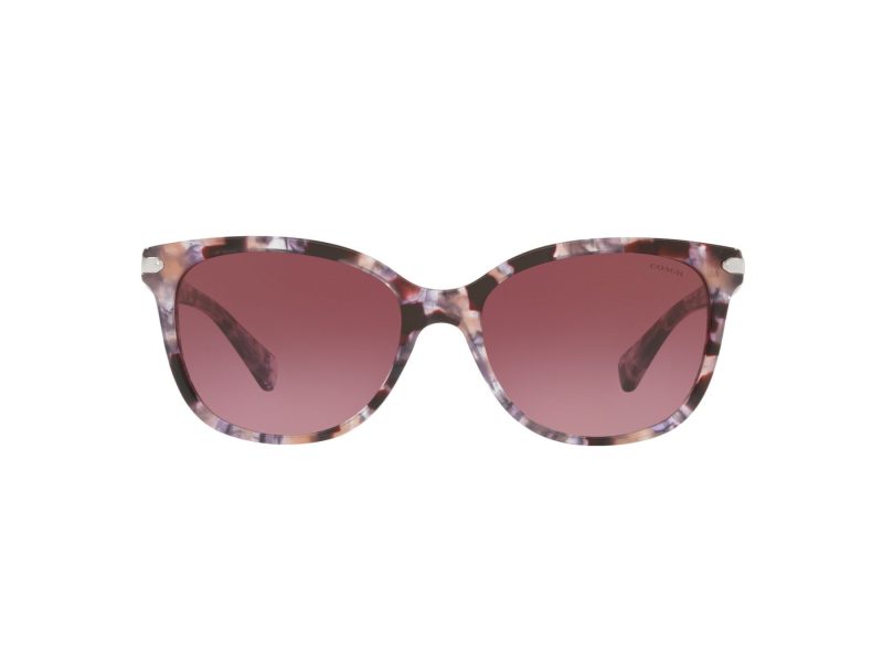 Coach L109 Lunettes de Soleil HC 8132 55488H