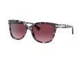 Coach L109 Lunettes de Soleil HC 8132 55488H
