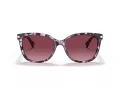 Coach L109 Lunettes de Soleil HC 8132 55488H