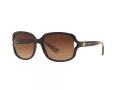 Coach L149 Lunettes de Soleil HC 8169 535313