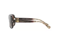 Coach L149 Lunettes de Soleil HC 8169 535313
