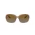 Coach L149 Lunettes de Soleil HC 8169 5561T5
