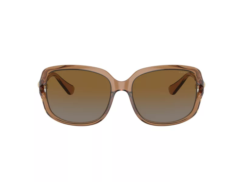 Coach L149 Lunettes de Soleil HC 8169 5561T5