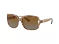 Coach L149 Lunettes de Soleil HC 8169 5561T5