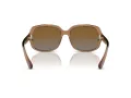 Coach L149 Lunettes de Soleil HC 8169 5561T5
