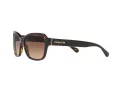 Coach L1010 Lunettes de Soleil HC 8232 550713