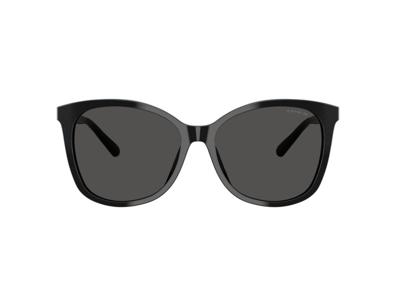 Coach L1101 Lunettes de Soleil HC 8271U 500287