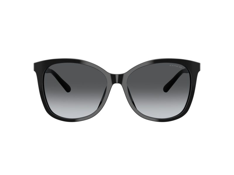 Coach L1101 Lunettes de Soleil HC 8271U 5002T3
