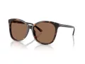 Coach L1101 Lunettes de Soleil HC 8271U 512073