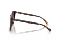 Coach L1101 Lunettes de Soleil HC 8271U 5120T5
