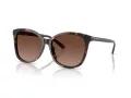 Coach L1101 Lunettes de Soleil HC 8271U 5120T5