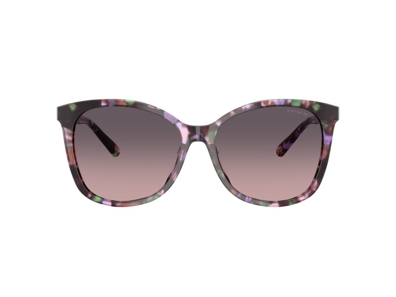 Coach L1101 Lunettes de Soleil HC 8271U 584346