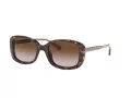 Coach L1114 Lunettes de Soleil HC 8278 512013