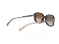 Coach L1114 Lunettes de Soleil HC 8278 512013