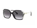 Coach L1116 Lunettes de Soleil HC 8280U 50028G