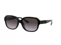 Coach L1153 Lunettes de Soleil HC 8298U 50028G