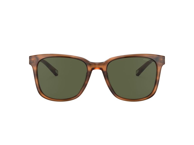 Coach C2095 Lunettes de Soleil HC 8313U 558171
