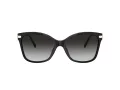 Coach C3446 Lunettes de Soleil HC 8316 50028G