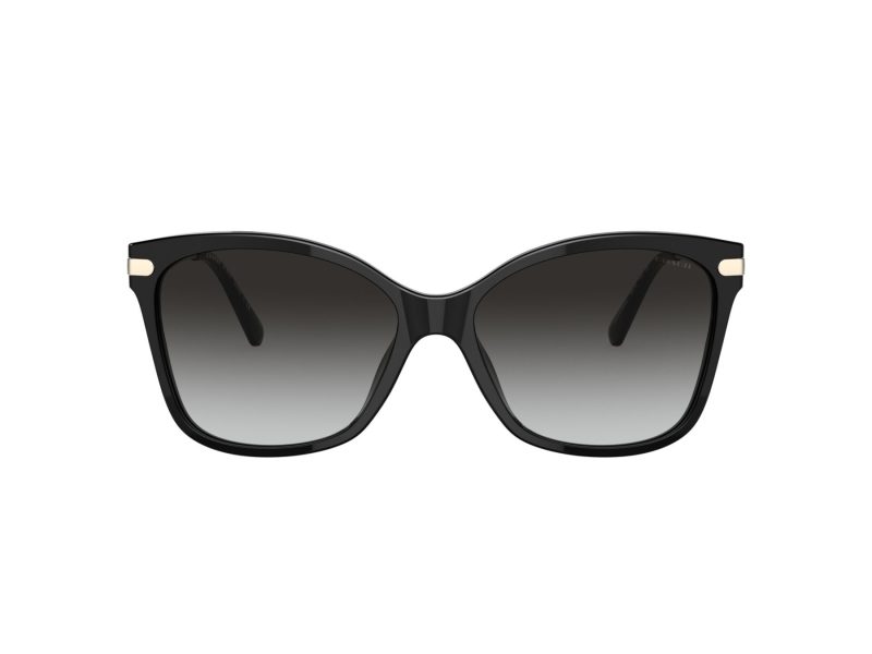 Coach C3446 Lunettes de Soleil HC 8316 50028G