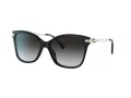 Coach C3446 Lunettes de Soleil HC 8316 50028G