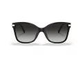 Coach C3446 Lunettes de Soleil HC 8316 50028G