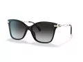 Coach C3446 Lunettes de Soleil HC 8316 50028G