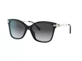 Coach C3446 Lunettes de Soleil HC 8316 5002T3