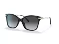 Coach C3446 Lunettes de Soleil HC 8316 5002T3