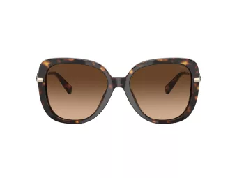 Coach C6180 Lunettes de Soleil HC 8320 512074