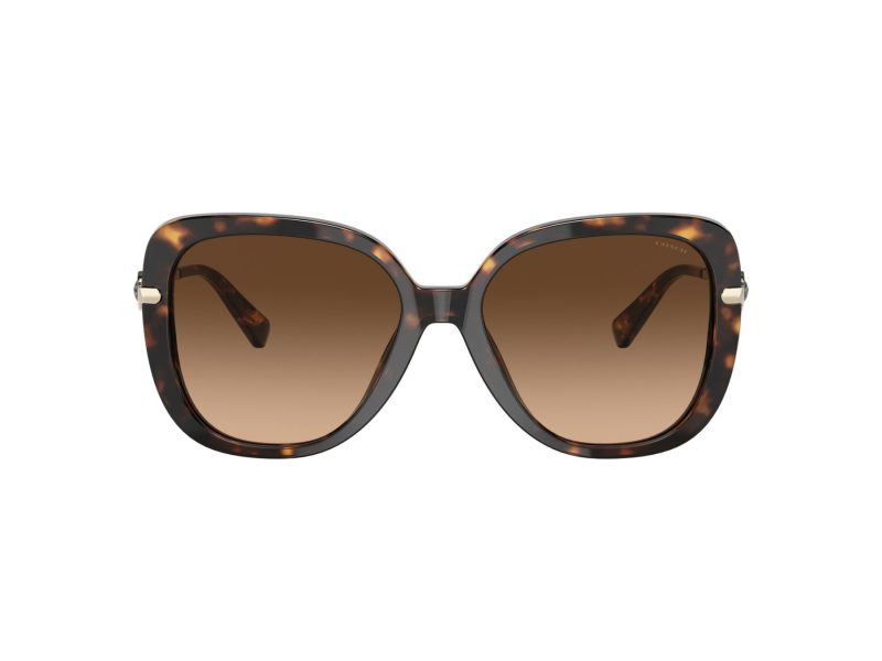 Coach C6180 Lunettes de Soleil HC 8320 512074