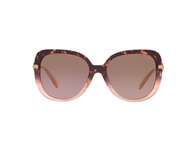 Coach C6180 Lunettes de Soleil HC 8320 56505M