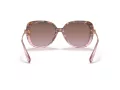 Coach C6180 Lunettes de Soleil HC 8320 56505M